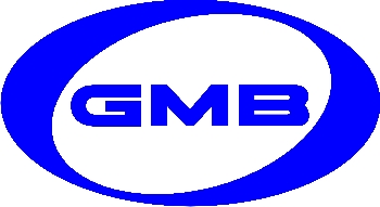 Ролик отклонитремня ГРМ GMB GT80150